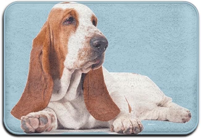 dog foot cleaning mat