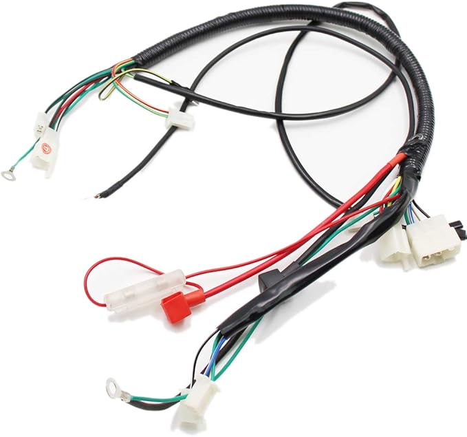 Amazon.com: Lifan 200cc Engine Wire Loom Harness Wiring Assembly For