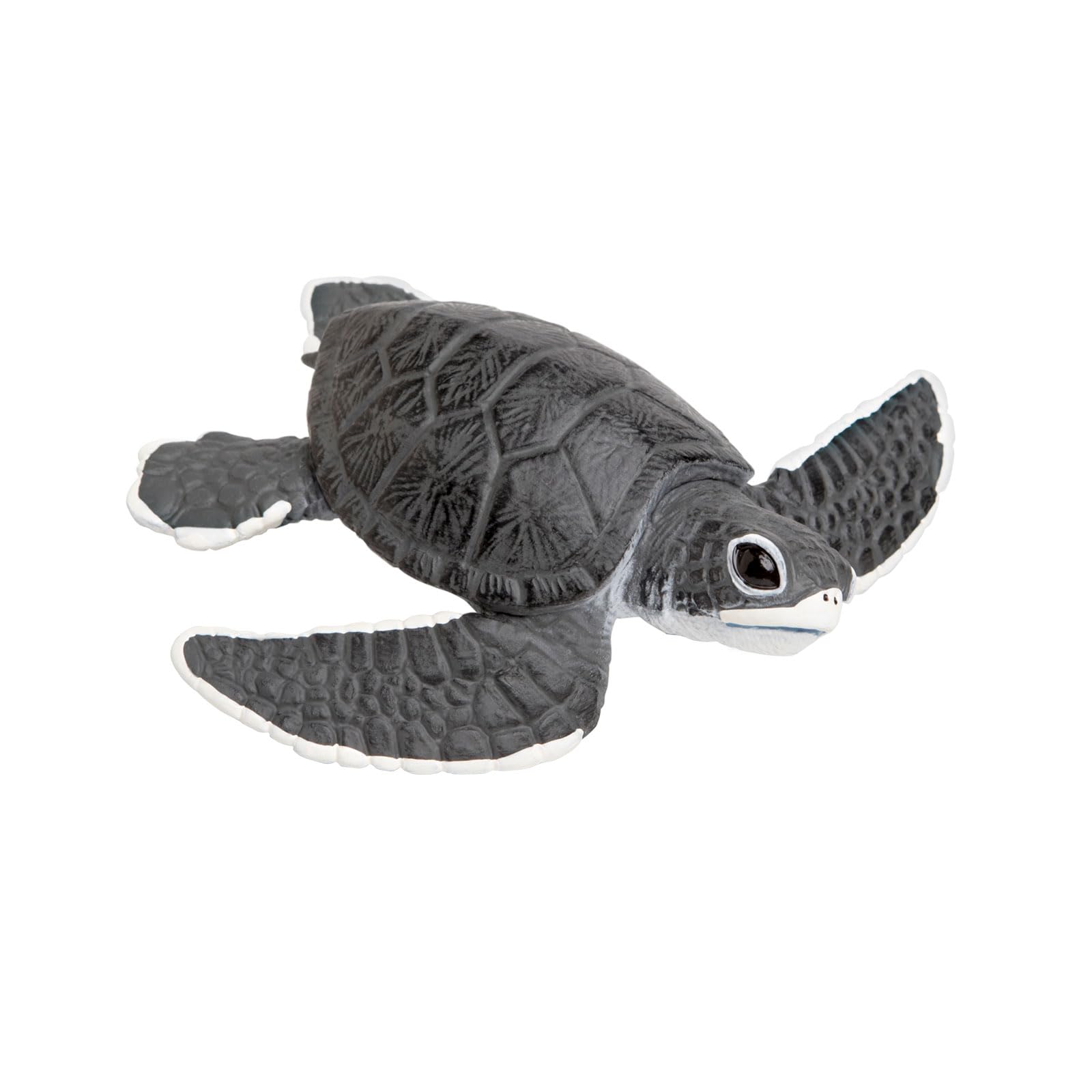 Safari 268129 Baby Sea Turtle Animal Figure