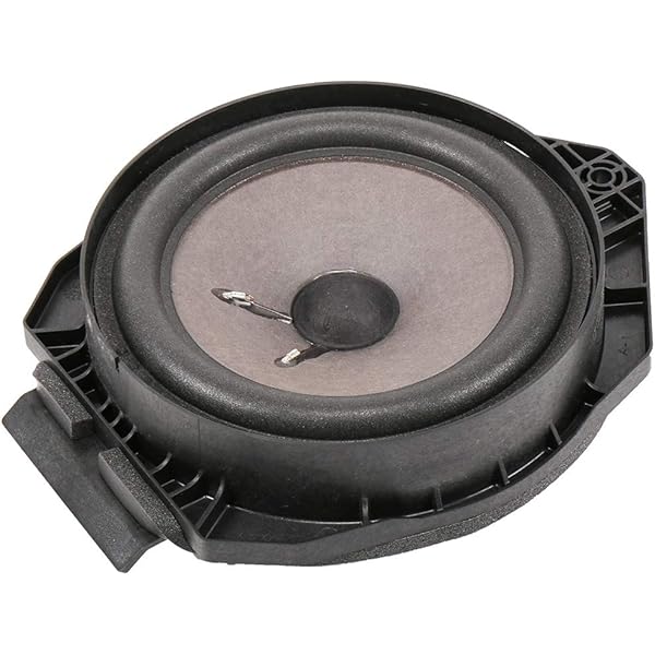 Amazon.com: GM Genuine Parts 85537426 Radio Front Side Door  