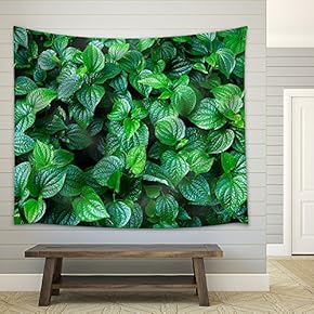 Material. Thai Medicinal Plants.(Piper Sarmentosum Roxb.) - Fabric Wall Tapestry Home Decor - 51x60 inches