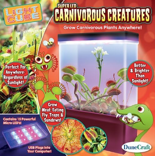 DuneCraft Carnivorous Creations Light Cube by DuneCraft Carnivorous Creations