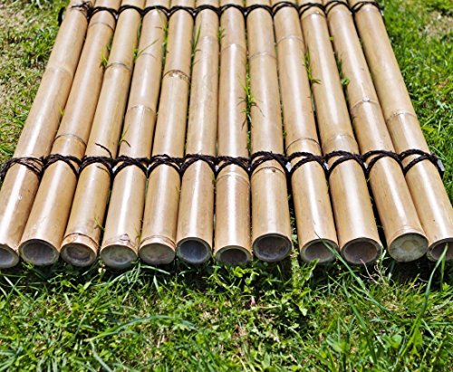 Bambus Sichtschutzzaun Bambuswand starr Apas4 150 x 120cm aus dicken gelblichen Bambusrohren mit 7-9cm Durchmesser – Bild 7