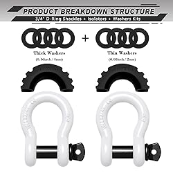 AUTMATCH D Ring Shackle 3/4" Shackles