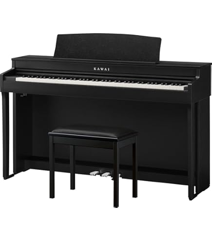 Amazon.com: Kawai CN301 88-Key Digital Piano with Responsive
