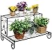 MyGift 2 Tiered Rectangular Black Metal Plant Stand Indoor Rack for Planter Pots, Display Shelf Rack with Scrollwork and Leaf Design