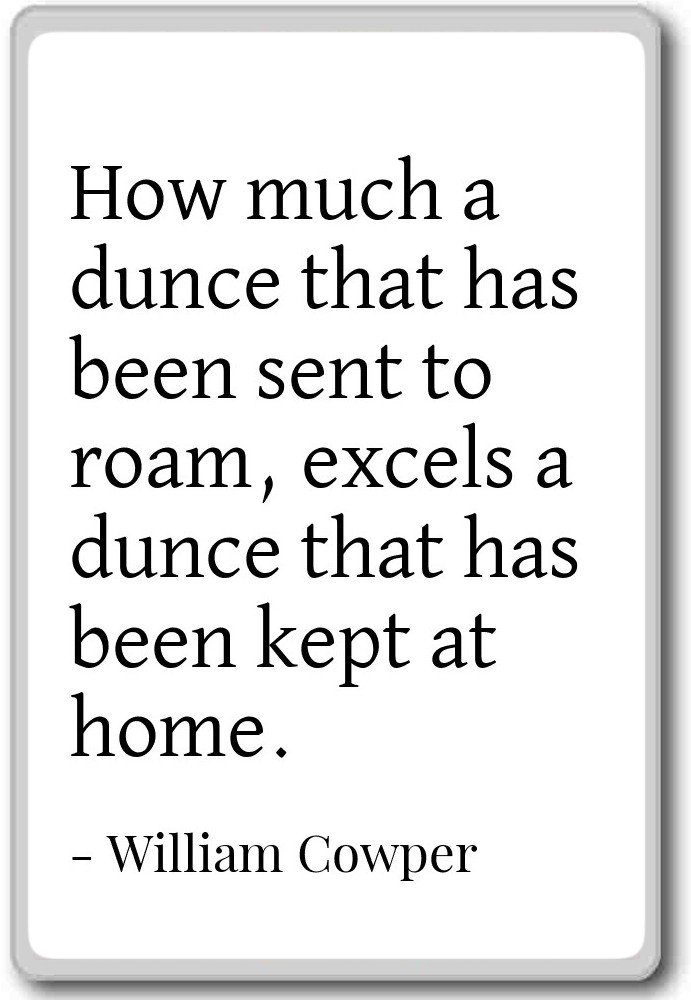 Which Is The Best Roam Magnets For Refrigerator