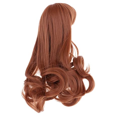 Fenteer Puppen DIY Zubehör - Lange lockige Perücke Haarteil für 1/6 Blythe Puppe - Haarlänge: 25cm - Braun