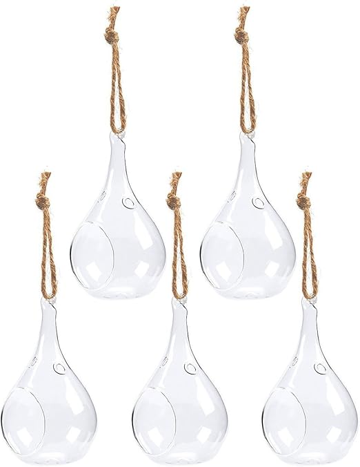 Juvale Hanging Glass Terrarium 6 Pack Glass Orbs Terrarium Holder Succulent Plants Indoor Outdoor House Decor