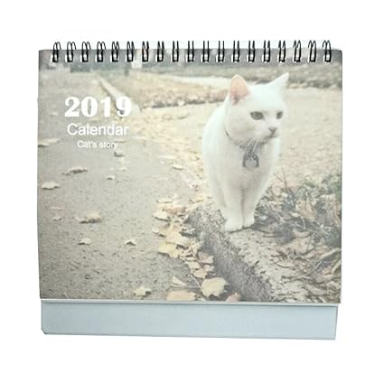 Petit Chat Mignon Dessin Get Images