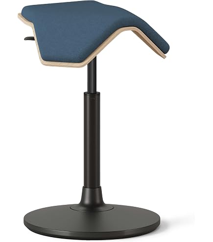 Amazon.com: aeris Swopper Air New Edition Ergonomic Stool with