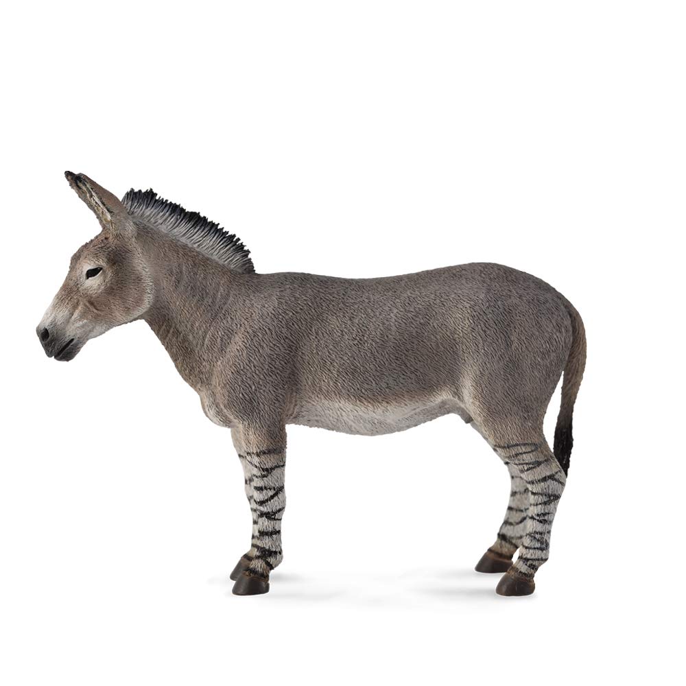 CollectA African Wild Ass