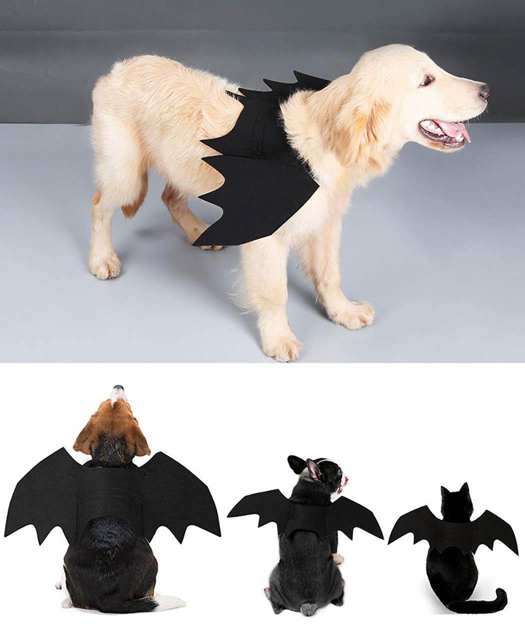 B bangcool Bat Wings for Dogs, Pet Halloween Bat Costume Adjustable Black Dragon Wings with 2 Pumpkin Bells