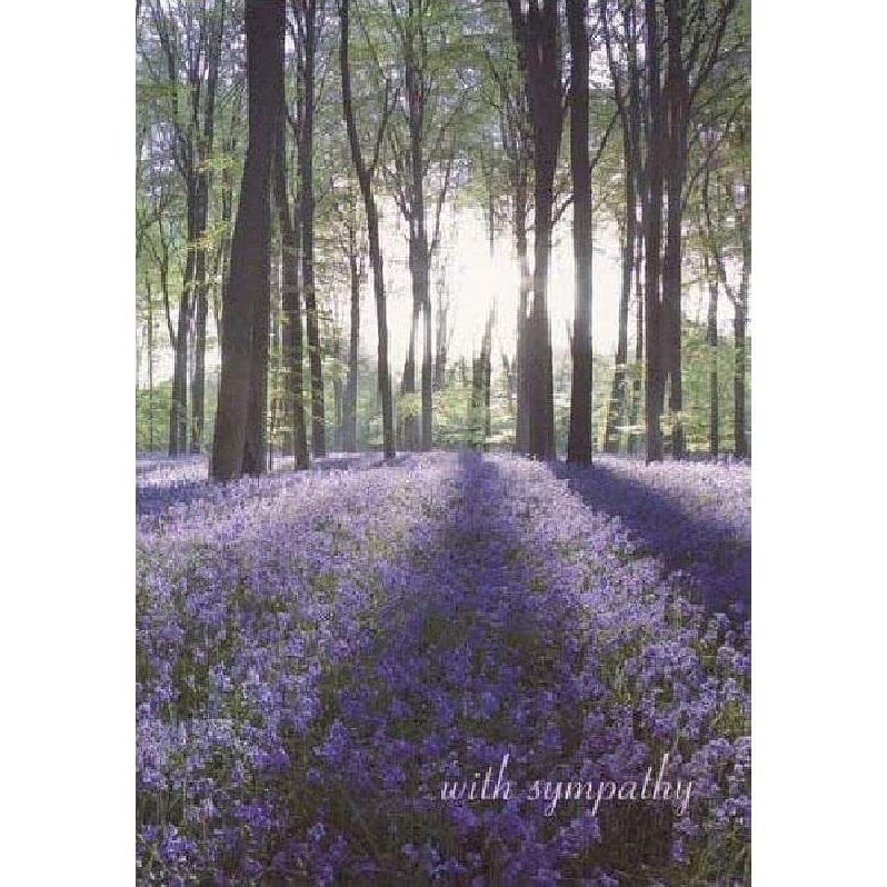 Shining Light - Sympathy Card (Woodmansterne)