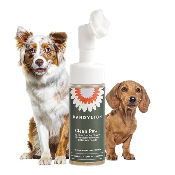 DANDYLION CLEAN PAWS | NO-RINSE DOG PAW CLEANER & PUPPY PAW WASHER | GENTLE, FRAGRANCE-FREE, PH BALANCED FOAMING CLEANSER WITH SILICONE BRISTLE BRUSH | SAFE FOR ALL DOGS | 5 FL OZ