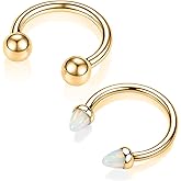 2PCS 16G Septum Ring Titanium Horseshoe Septum Nose Ring Internally Threaded Helix Earrings G23 Daith Piercing Jewelry Cartilage Rook Lobe Conch Earrings Lip Eyebrow Piercing Jewelry 8mm 10mm 12mm