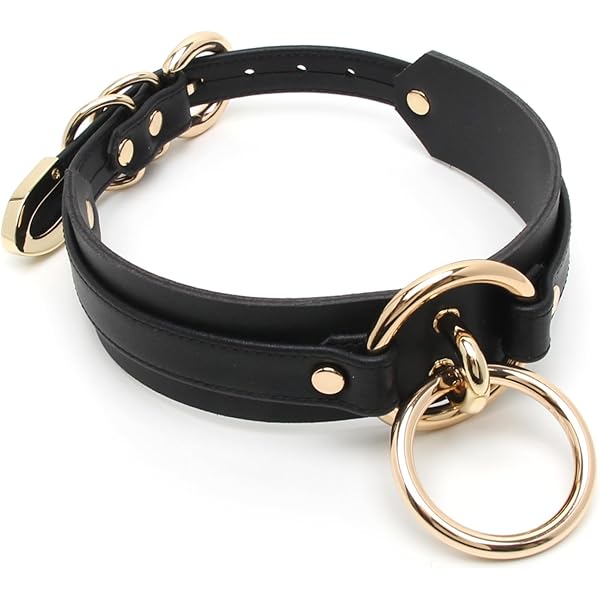 STAINLESS STEEL NECK Collar Lockable Bondage Heavy Duty