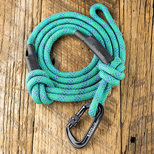 Embark Pets Sierra Leash/Mountain Climbing Rope Leash with Carabiner