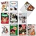 NobleWorks Variety Pack of 10 Christmas Greeting Cards with Envelopes, Cartoon, Humor Holiday Assortment for Men and Women - Petigreet Cats A5559XSG-B1x10