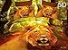 3 Piece Set Lion King 3d Print Soft Comforter Set (021) (Queen)