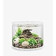 BiOrb Tube 15 Aquarium with MCR - 4 Gallon, White