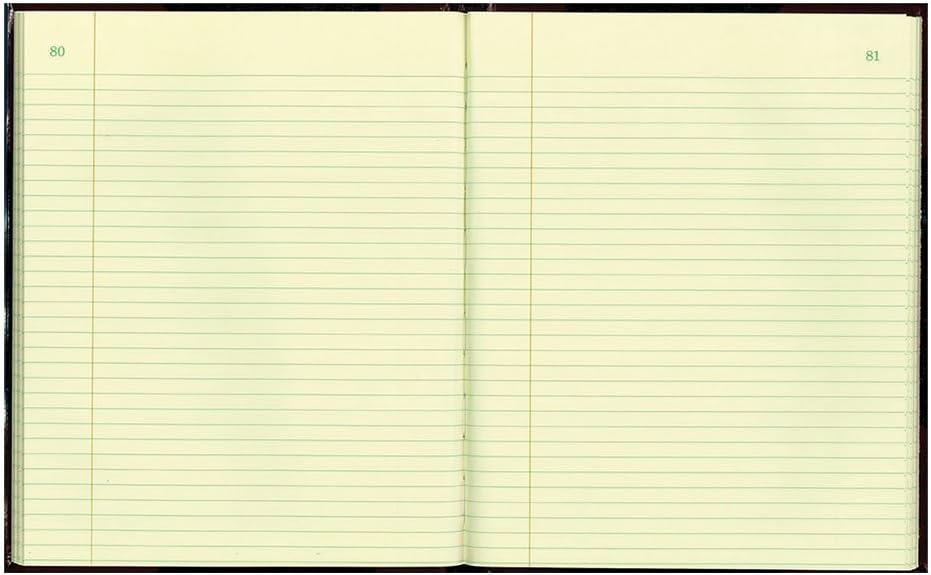 NATIONAL Brand Texhide Series Record Book, 10.375 x 8.375" Black, 150 Pages (56211) : National Brand Notebook : Office Products