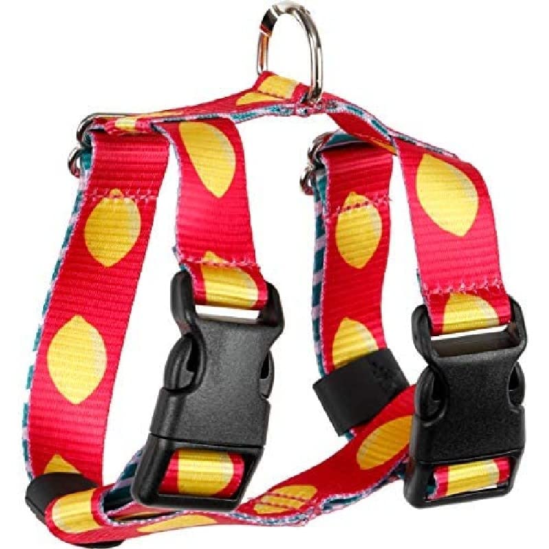 arppe 195742530164 Nylon Fresh Harness