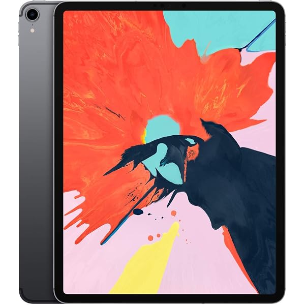 Amazon.com : Apple iPad Pro (11-inch, Wi-Fi + Cellular, 256GB