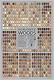 Worldwide Woods, Ranked by Hardness 24 x 36 Poster