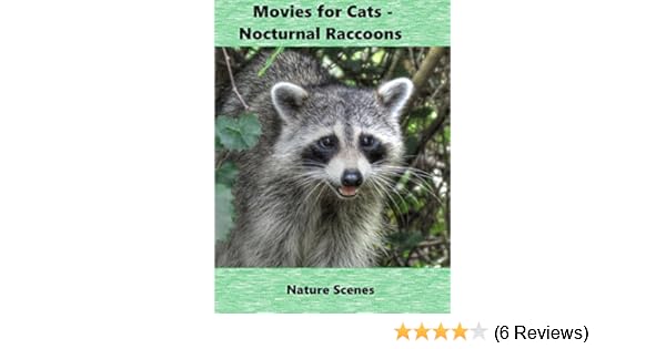 Amazon Com Movies For Cats Nocturnal Raccoons Raccoon Backyard Birder Amazon Com Movies For Cats Nocturnal Raccoons Raccoon Backyard Birder