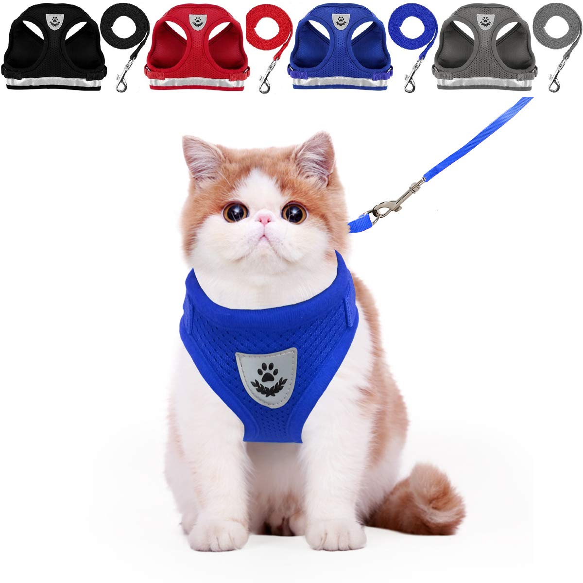 best cat harness and leash no escape