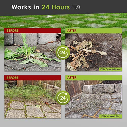 ECO Garden PRO Organic Vinegar Weed Killer Kid Safe Pet Safe