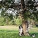 Etta Pet Products Ultrasonic Anti Barking Device - Outdoor Bark Control Deterrents - With Dog Training Clicker Whistle - Training Tool Dogs - 50 Feet Range (9V Battery Not Included)