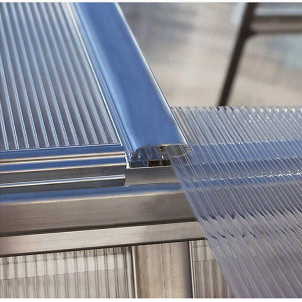 The Fellie Polycarbonate Greenhouse Shee Buy Online In India At Desertcart