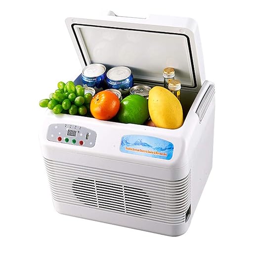 Kühlbox Mini Refrigerador Coche Nevera compactos portátiles ...