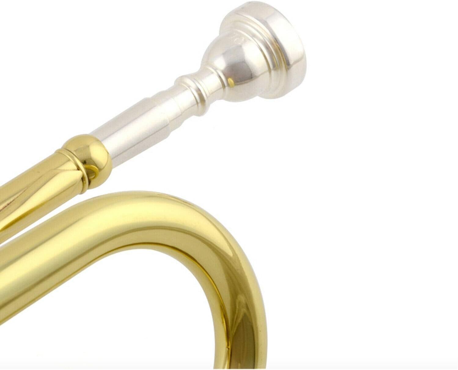 Apelila Gold Trumpet Brass Standard Bb Trumpet-Student Beginner with Hard Case,Gloves,Mouthpiece,Soft Cleaning Cloth,Strap,and Valve Oil: Musical Instruments