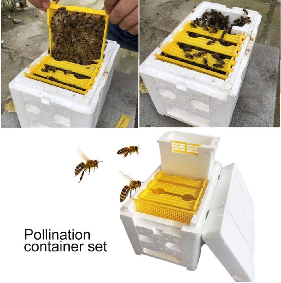 Bee Breeding Boxes,Bee Pollination Box,Garden Beekeeping Queen Breeding Rearing Box Bee Tail Beehives Harvest Bee Hive Beekeeping Tool for Beekeeper
