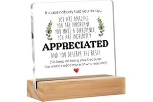 Hiagkmet Inspirational Gift Ideas, Thank You Gifts for Women Men Friends, Appreciation Gifts for Coworker,Motivational Quote 