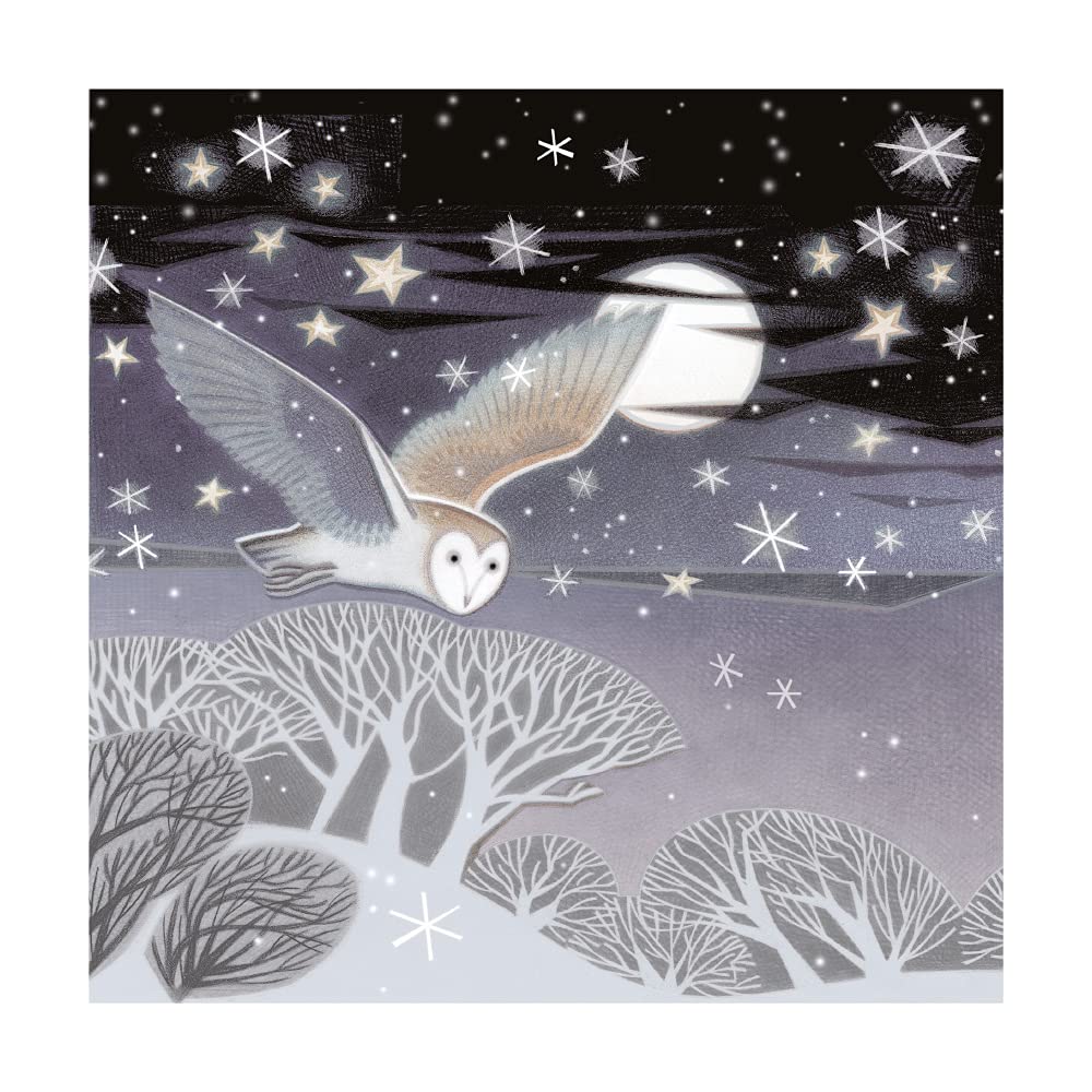 Museums and Galleries Charity Christmas Cards Pack of 8 - Charity Christmas Cards 2024 with Owl and Moon Design - Eco-Friendly Xmas Cards Multipack with Envelopes