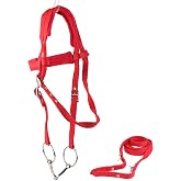 JTLB Horse Bridle English Bridle Horse Bridle Rein Harness Headstalls with Soft Cushion Red