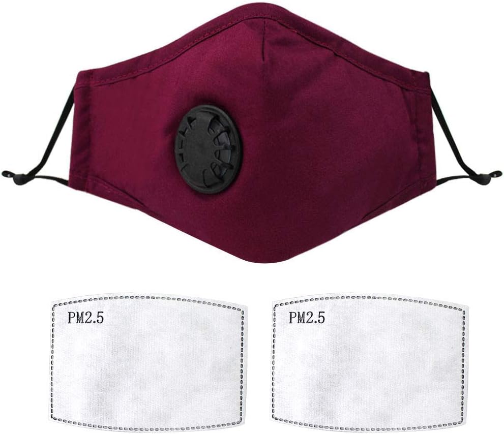 PM2.5 Respirator Sports Mask Breathing Dust Mouth Face Mask for Air Pollution,N99 Mask with Filters Reusable