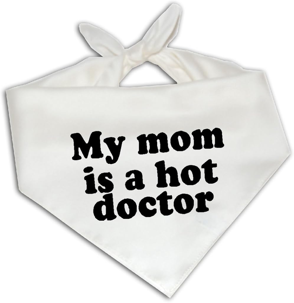 diy outdoor dog ramp