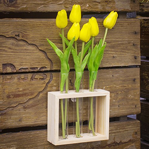 Ivolador Wall Mounted Hanging Plants Terrariumin Test Tube Flower Bud