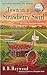 Town in a Strawberry Swirl (Candy Holliday Murder Mystery)