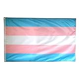 OZ Transgender Pride Outdoor Flag - Large