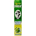 Darlie Double Action Spearmint and Peppermint Fluoride Toothpaste Travel Size 35 grams