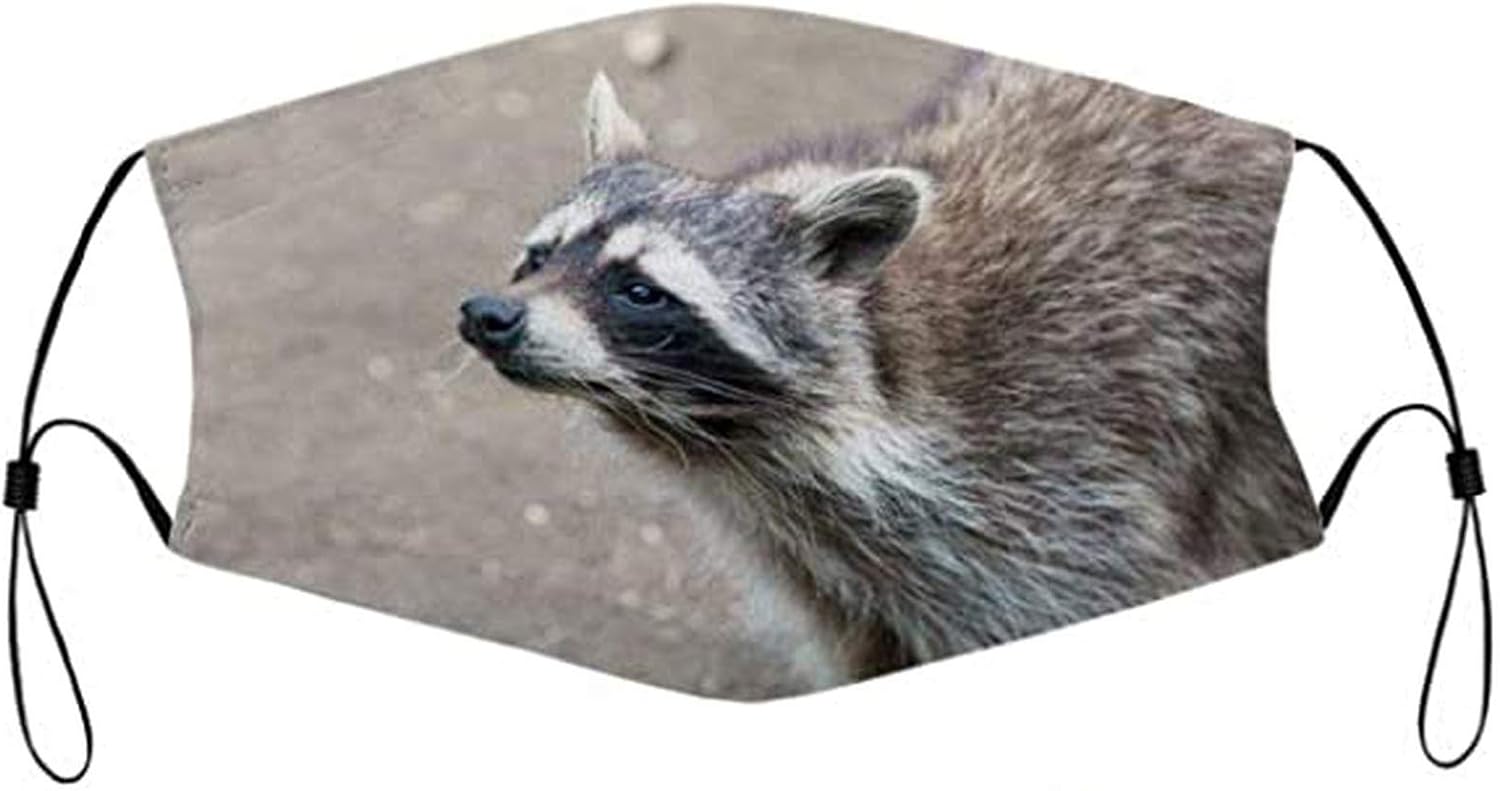Raccoon Face Mask , DIY Raccoon Costume with Printable Mask – DSWM