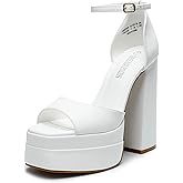 DREAM PAIRS High Heels Chunky Block Platform Heels for Women Ankle Strap Sexy Open Square Toe Heels Dressy Pumps Sandals