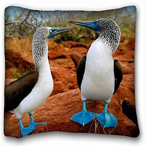 Decorative Square Throw Pillow Case Animals blue footed booby galapagos islands bird sula animals 18"*18" Two Side