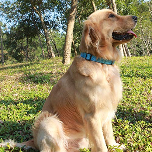Dazzber Martingale Dog Collar, Sky Blue, Small, Neck 12"-17", Width 0.6",Safety Training Heavy Duty Adjustable Collars for Dogs